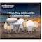 Feit Electric Feit Enhance G25 E26 (Medium) Filament LED Bulb Daylight 60 Watt Equivalence 3 pk G2560W950CAFL3R - alternate 5